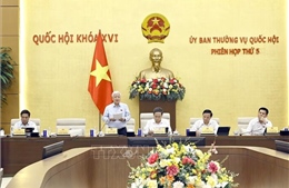 Tháo gỡ điểm nghẽn trong lĩnh vực công nghiệp và thương mại, bảo vệ người tiêu dùng