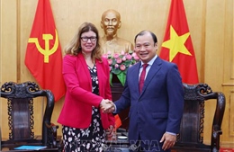 Việt Nam - Liên hợp quốc đẩy mạnh hoạt động nghiên cứu và tư vấn chính sách về quyền trẻ em