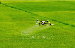 Cánh đồng lớn mở đường cho nông nghiệp hiện đại
