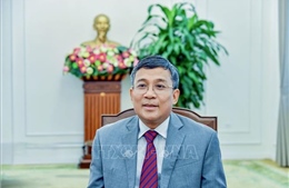 Tiếp tục đưa quan hệ Việt Nam với Hàn Quốc, Mông Cổ phát triển ngày càng thực chất, hiệu quả