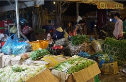 TP Hồ Chí Minh tăng cường kết nối với tỉnh Lâm Đồng đẩy mạnh tiêu thụ nông sản sạch