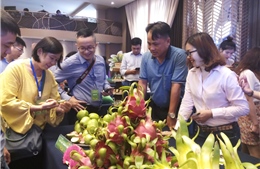  Khởi động Chương trình ‘Ủng hộ nông dân chung tay vì nông sản Việt’