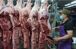 TP Hồ Chí Minh tăng cường kiểm soát giết mổ, bảo vệ an toàn thực phẩm Tết