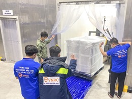 Thêm hơn 1,2 triệu liều vaccine COVID-19 của AstraZeneca về đến Việt Nam