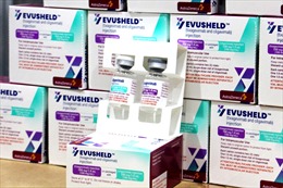 Những trường hợp nào được chỉ định tiêm Evusheld dự phòng COVID-19?