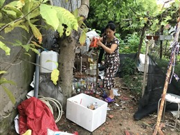 TP Hồ Chí Minh: Khuyến cáo chủ động phòng bệnh sốt xuất huyết khi mùa mưa đến