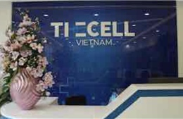 TP Hồ Chí Minh: Xử phạt và đình chỉ hoạt động thẩm mỹ The Cell Việt Nam