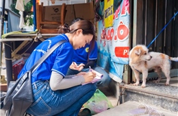 TP Hồ Chí Minh: Sinh viên thú y &#39;đi từng ngõ, gõ từng nhà&#39; tiêm phòng dại cho chó mèo