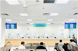 TP Hồ Chí Minh công bố tốp 10 bệnh viện có điểm chất lượng cao nhất và thấp nhấp