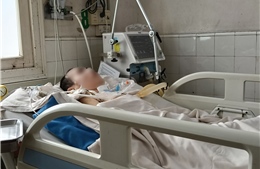 Viêm não Nhật Bản gia tăng ở người lớn, bệnh nặng, di chứng lâu dài