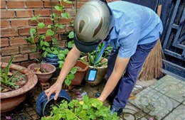 TP Hồ Chí Minh đồng loạt triển khai biện pháp phòng, chống bệnh Chikungunya