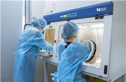 Ký kết hợp tác đào tạo và nghiên cứu y tế giữa Việt Nam và Vương quốc Anh