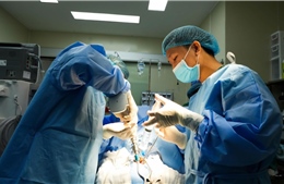 Xử lý thành công bệnh lý hiếm gặp ‘làn khói’ trong não cho bệnh nhân Campuchia