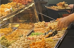 Các bệnh lý tiêu hóa tại Việt Nam ngày càng phổ biến và phức tạp