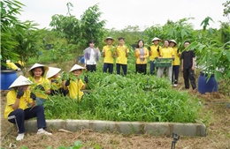 Ra mắt mô hình nông nghiệp tuần hoàn gắn với giáo dục, nghiên cứu và phát triển cộng đồng