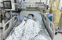Ba chị em bị ngộ độc sau khi ăn thịt chuột đồng nướng