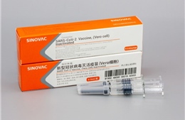 Indonesia sẽ thử nghiệm vaccine trên người trong tháng tới