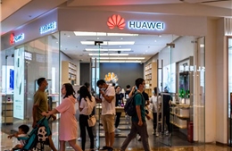 Huawei bắt đầu ngấm đòn trừng phạt, tẩy chay của Mỹ