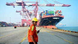 Khủng hoảng vỏ container đẩy cước vận tải biển tăng 300%