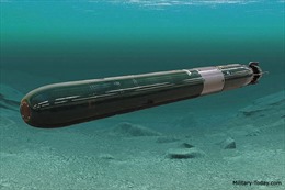 Nga thử nghiệm siêu ngư lôi ‘ngày tận thế’ phóng từ tàu ngầm hạt nhân