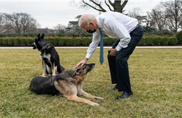 Tổng thống Mỹ Joe Biden trải lòng về cuộc sống trong Nhà Trắng