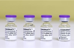 Pfizer chưa tính đến bổ sung điểm sản xuất vaccine ngoài Mỹ và châu Âu 