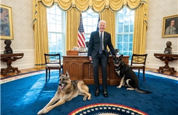 Nhiếp ảnh gia định hình cách nhìn của thế giới về Tổng thống Joe Biden