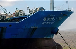 Mỹ tính lập ‘Liên minh Nam Mỹ’ ngăn chặn Trung Quốc đánh bắt cá trái phép