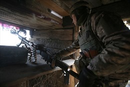 Ukraine đối mặt nguy cơ tái diễn xung đột ở Donbass