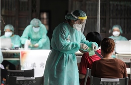 Đài Loan (Trung Quốc) điều tra một phụ nữ nghi ngờ lây nhiễm COVID-19 từ chuột thí nghiệm