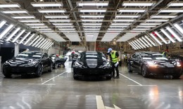 Tesla triệu hồi 285.000 xe tại thị trường Trung Quốc vì lỗi lái tự động