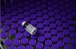 Pfizer/BioNTech khẳng định liều thứ 3 tăng khả năng chống lại biến thể Delta
