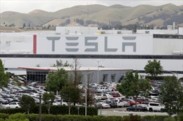 Tesla phải bồi thường cho cựu nhân viên 130 triệu USD vì phân biệt chủng tộc