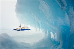 Nga điều tàu hạt nhân giải cứu 18 tàu hàng mắc kẹt trong tuyết ở Bắc cực