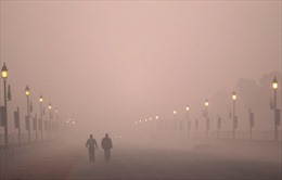 Ấn Độ loay hoay với quy định cấm đốt rơm để xử lý ô nhiễm không khí cực độ 
