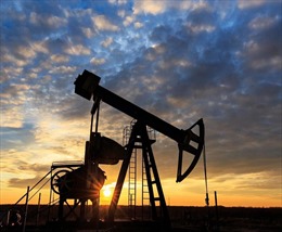Năng lực sản xuất suy yếu của OPEC+ có thể đẩy giá dầu vượt 100 USD/thùng