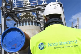 Thượng viện Mỹ bác dự luật trừng phạt Nord Stream 2 