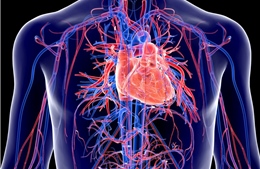 Nghiên cứu mới về tăng nguy cơ mắc bệnh tim ở bệnh nhân COVID-19