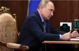 Tỉ lệ ủng hộ đối với Tổng thống Putin cao kỉ lục giữa trừng phạt từ phương Tây