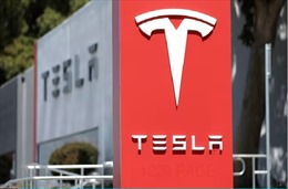 Tesla bốc hơi vốn hóa 125 tỷ USD sau khi Elon Musk mua đứt Twitter
