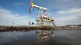 Châu Âu nguy cơ phụ thuộc vào dầu thô Mỹ khi tìm cách ‘thoát dầu Nga’