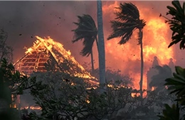 Thảm họa cháy rừng ở bang Hawaii của Mỹ và lời cảnh báo từ thiên nhiên