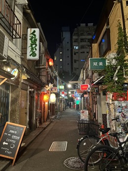 Bảo tồn di sản văn hóa ở Tokyo - Bài cuối: Hài hòa với phát triển đô thị hiện đại