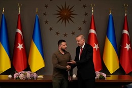 Thổ Nhĩ Kỳ ủng hộ mạnh mẽ việc Ukraine gia nhập NATO