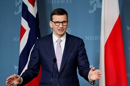 Kế hoạch 10 điểm của Ba Lan để giải quyết vấn đề Ukraine
