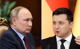 Điều gì đang thực sự diễn ra trong các cuộc đàm phán giữa Nga và Ukraine?