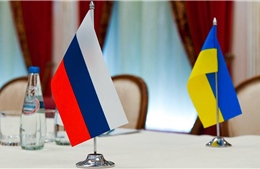 Chuyên gia Nga đánh giá triển vọng cuộc gặp giữa Tổng thống Putin và Zelensky