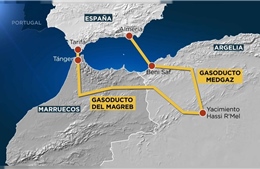 Giữa lúc châu Âu &#39;khát&#39; năng lượng, Algeria dọa cắt hợp đồng khí đốt với Tây Ban Nha