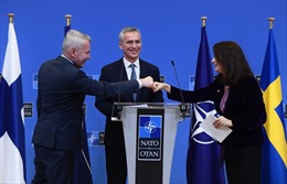 Thụy Điển thảo luận về việc gia nhập NATO