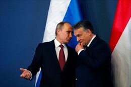 Hungary: Không có cuộc thảo luận cấm dầu Nga tại hội nghị thượng đỉnh EU